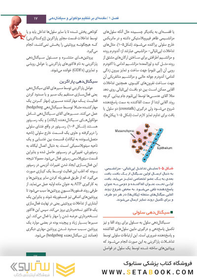 جنین شناسی لانگمن 2019 ویراست چهاردهم (رنگی)