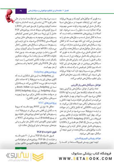 جنین شناسی لانگمن 2019 ویراست چهاردهم (رنگی)
