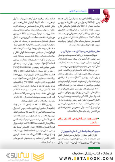 جنین شناسی لانگمن 2019 ویراست چهاردهم (رنگی)