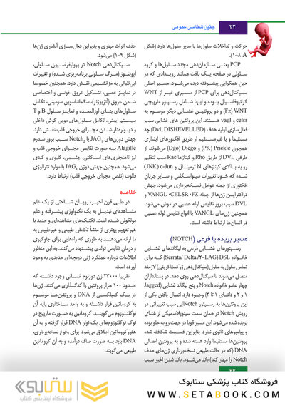 جنین شناسی لانگمن 2019 ویراست چهاردهم (رنگی)