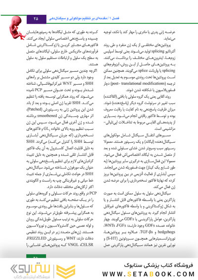 جنین شناسی لانگمن 2019 ویراست چهاردهم (رنگی)