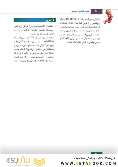 جنین شناسی لانگمن 2019 ویراست چهاردهم (رنگی)