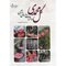 گل محمدی و اثرات درمانی ان