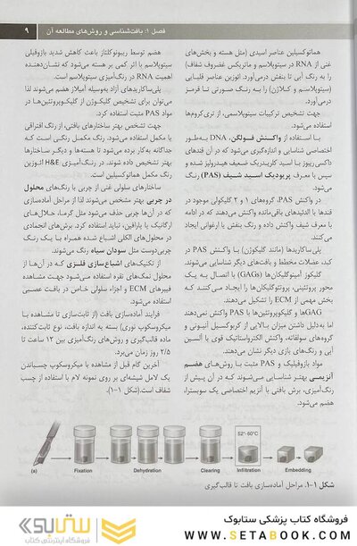 خلاصه بافت شناسی جان کوئیرا