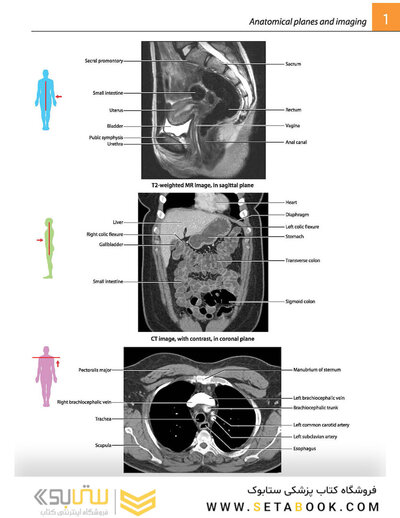 Gray's atlas of anatomy