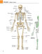 Gray's atlas of anatomy