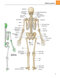 Gray's atlas of anatomy
