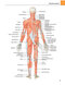 Gray's atlas of anatomy
