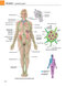 Gray's atlas of anatomy