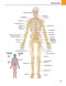 Gray's atlas of anatomy