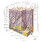 Netter Atlas of Human Anatomy: A Systems Approache