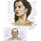 Netter Atlas of Human Anatomy: A Systems Approache