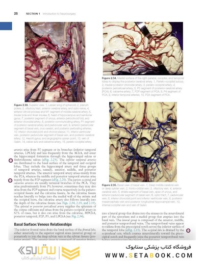 Youmans and Winn Neurological Surgery: 4 - Volume Set 2023