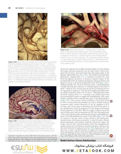 Youmans and Winn Neurological Surgery: 4 - Volume Set 2023