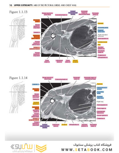 Sectional Anatomy by MRI and CT, 4th Edition2016