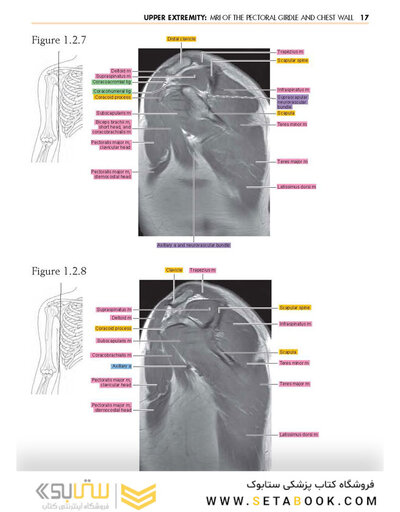 Sectional Anatomy by MRI and CT, 4th Edition2016