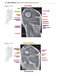 Sectional Anatomy by MRI and CT, 4th Edition2016