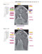 Sectional Anatomy by MRI and CT, 4th Edition2016