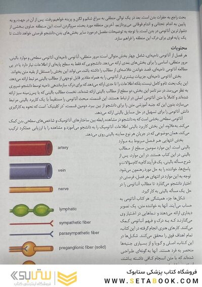 آناتومی گری برای دانشجویان تنه (جلد 1) 2020