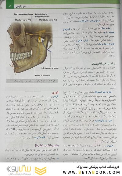 آناتومی گری برای دانشجویان سر و گردن (جلد 3 ) 2020