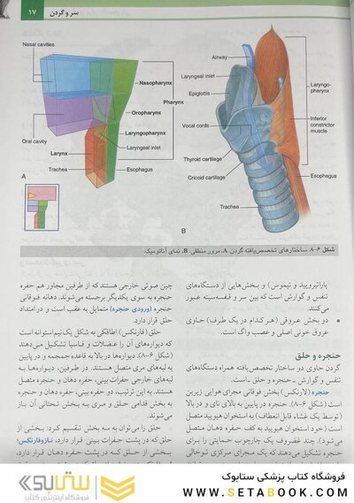 آناتومی گری برای دانشجویان سر و گردن (جلد 3 ) 2020