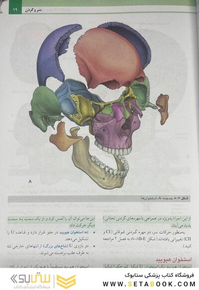 آناتومی گری برای دانشجویان سر و گردن (جلد 3 ) 2020