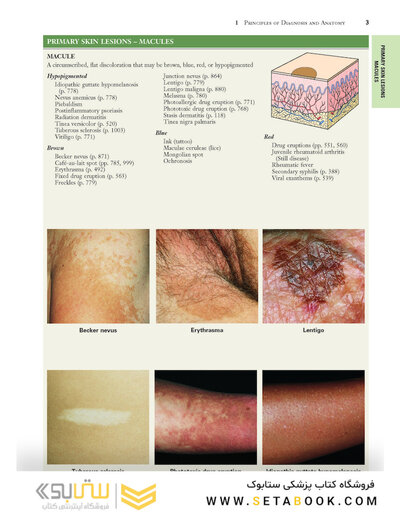 2021 Habif's Clinical Dermatology: A Color Guide to Diagnosis and Therapy 7th Edition
