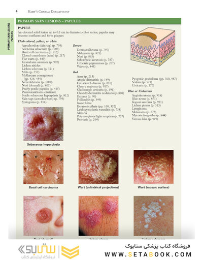 2021 Habif's Clinical Dermatology: A Color Guide to Diagnosis and Therapy 7th Edition
