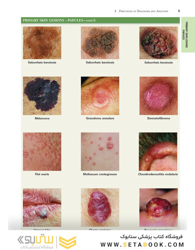 2021 Habif's Clinical Dermatology: A Color Guide to Diagnosis and Therapy 7th Edition