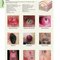 2021 Habif's Clinical Dermatology: A Color Guide to Diagnosis and Therapy 7th Edition