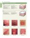 2021 Habif's Clinical Dermatology: A Color Guide to Diagnosis and Therapy 7th Edition