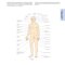 2021 Habif's Clinical Dermatology: A Color Guide to Diagnosis and Therapy 7th Edition