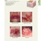 2021 Habif's Clinical Dermatology: A Color Guide to Diagnosis and Therapy 7th Edition