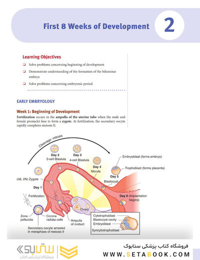 USMLE Step 1 Lecture Notes 2022: Anatomy
