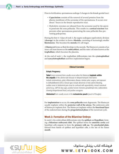 USMLE Step 1 Lecture Notes 2022: Anatomy