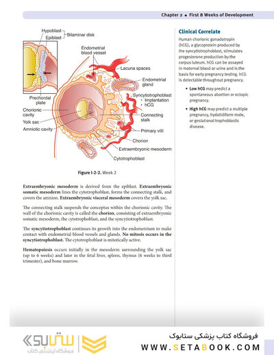 USMLE Step 1 Lecture Notes 2022: Anatomy