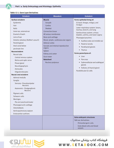 USMLE Step 1 Lecture Notes 2022: Anatomy