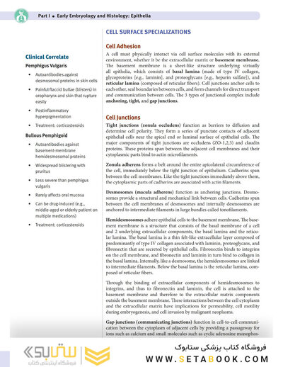 USMLE Step 1 Lecture Notes 2022: Anatomy