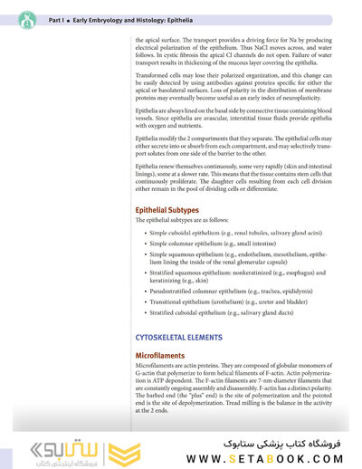 USMLE Step 1 Lecture Notes 2022: Anatomy
