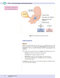 USMLE Step 1 Lecture Notes 2022: Anatomy