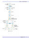 USMLE Step 1 Lecture Notes 2022: Anatomy