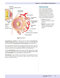 USMLE Step 1 Lecture Notes 2022: Anatomy