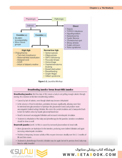 USMLE Step 2 CK Lecture Notes 2022: Pediatrics