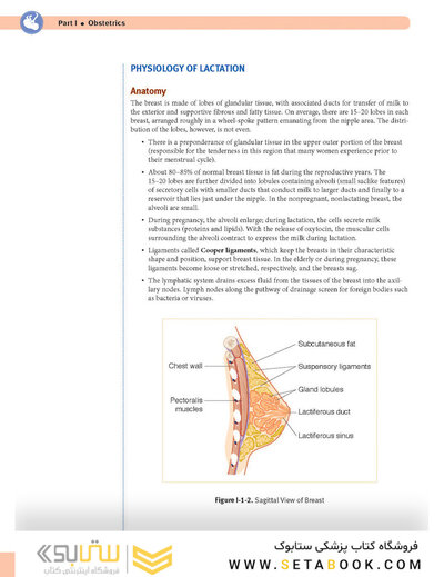 USMLE Step 2 CK Lecture Notes 2022: Obstetrics and Gynecology
