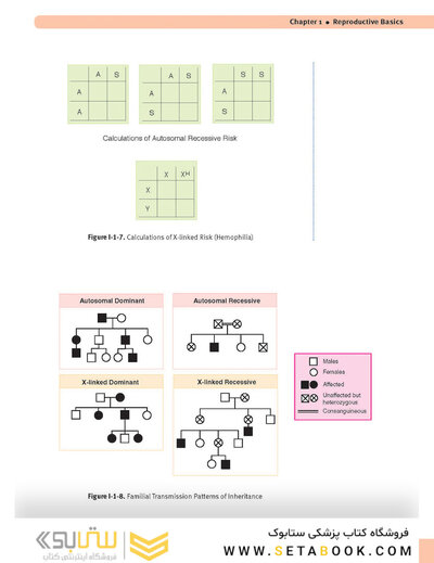 USMLE Step 2 CK Lecture Notes 2022: Obstetrics and Gynecology