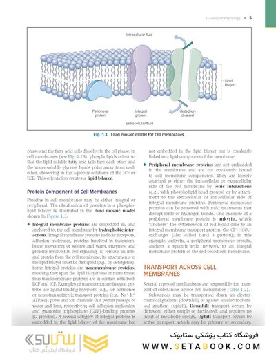 Costanzo Physiology 2022