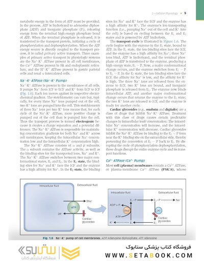 Costanzo Physiology 2022