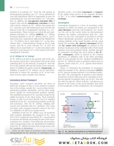 Costanzo Physiology 2022