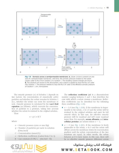Costanzo Physiology 2022