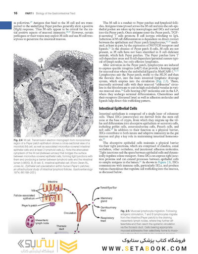 Sleisenger and Fordtran's Gastrointestinal and Liver Disease- 3 Volume Set: Pathophysiology, Diagnosis, Management 11th Edition 2021